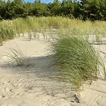 Ahava * Kolobrzeg